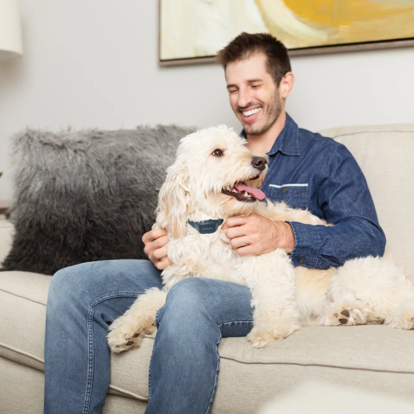 Audible Bark Collar