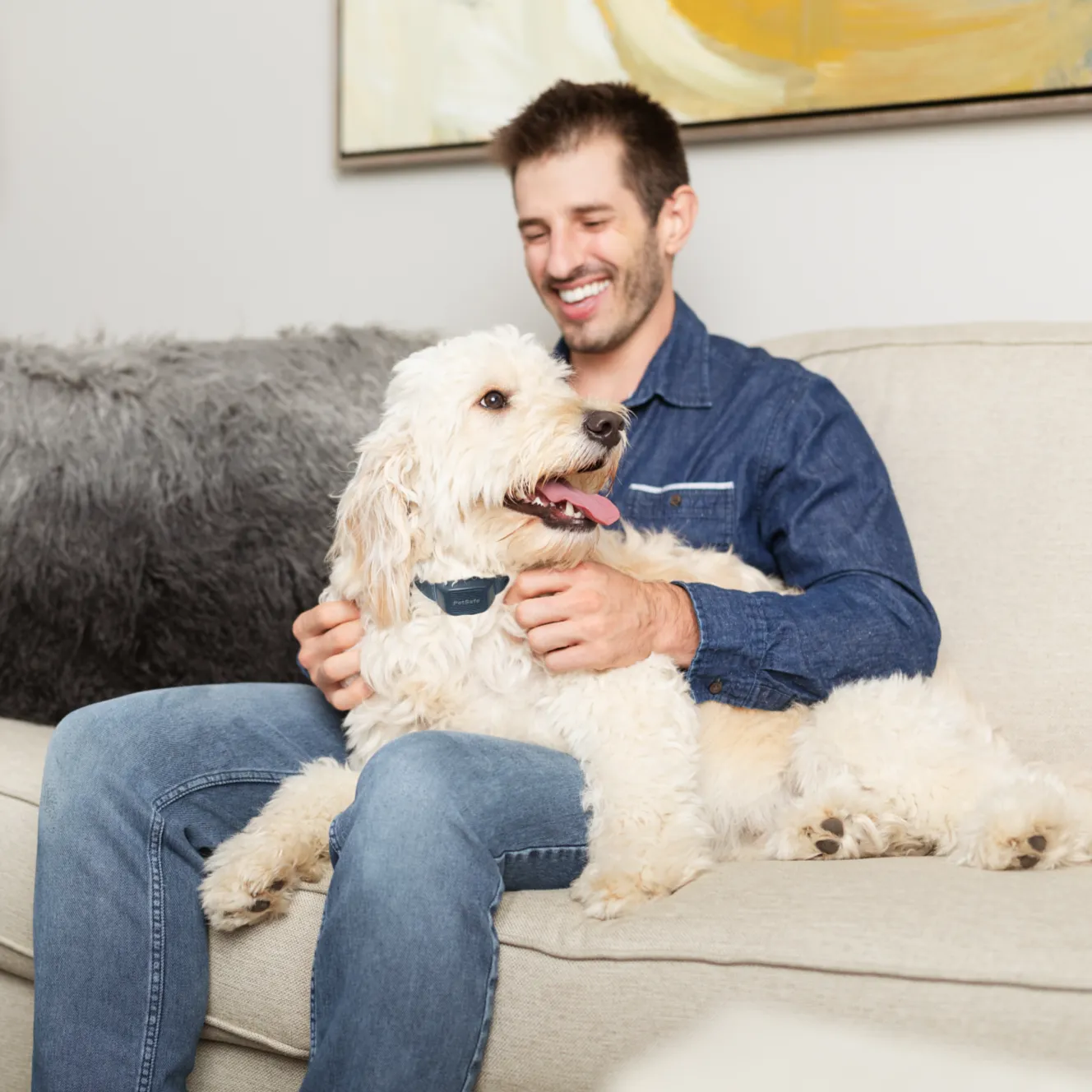 Audible Bark Collar
