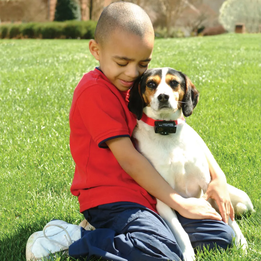 Bark Control Collar