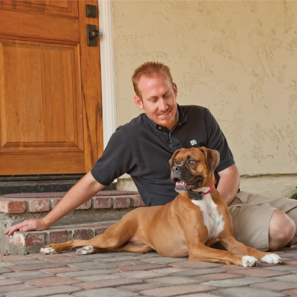 Bark Control Collar