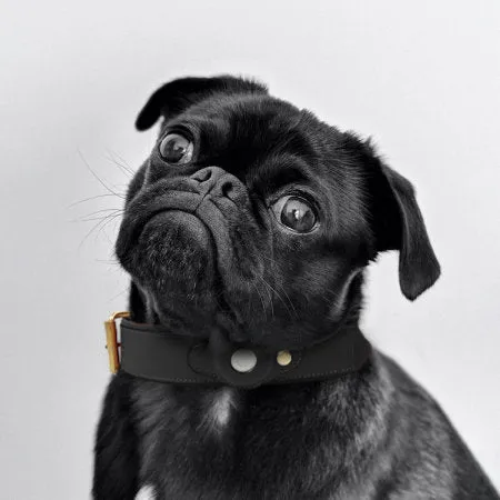 Black Genuine Leather Apple AirTag Dog Collar