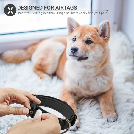Black Genuine Leather Apple AirTag Dog Collar