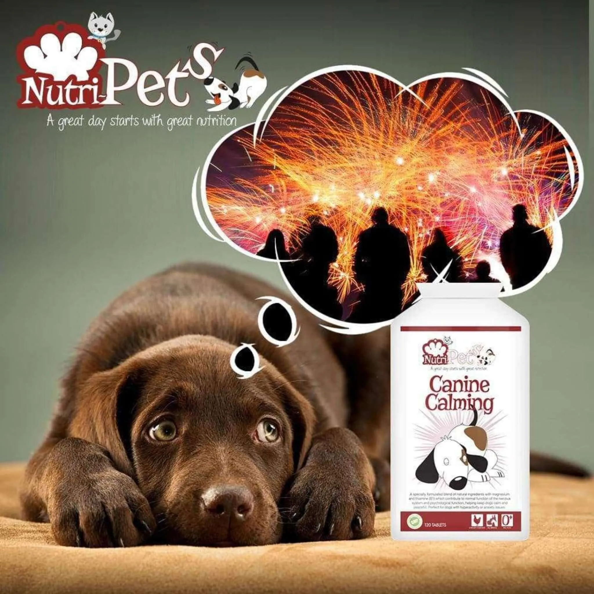 Canine Calming