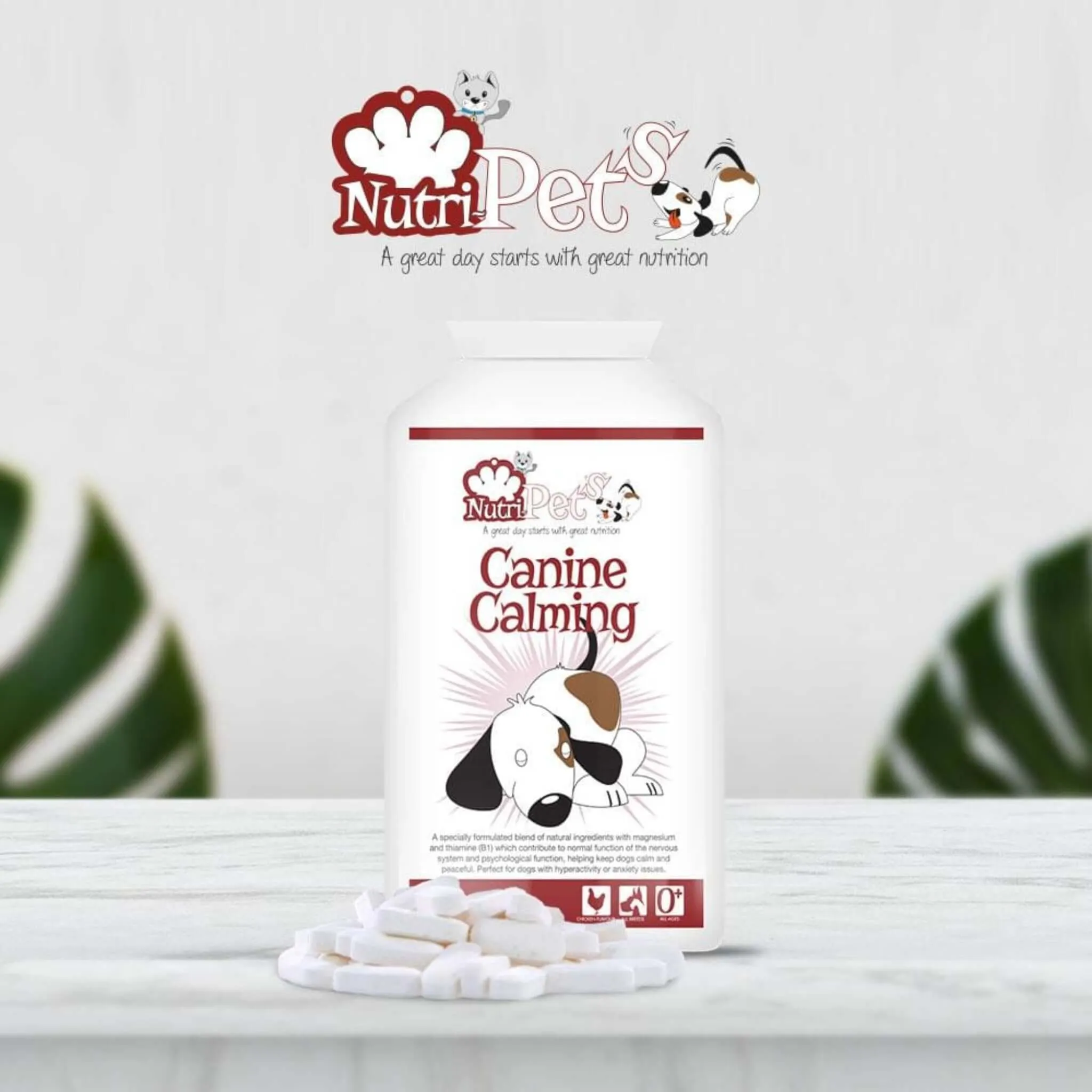 Canine Calming