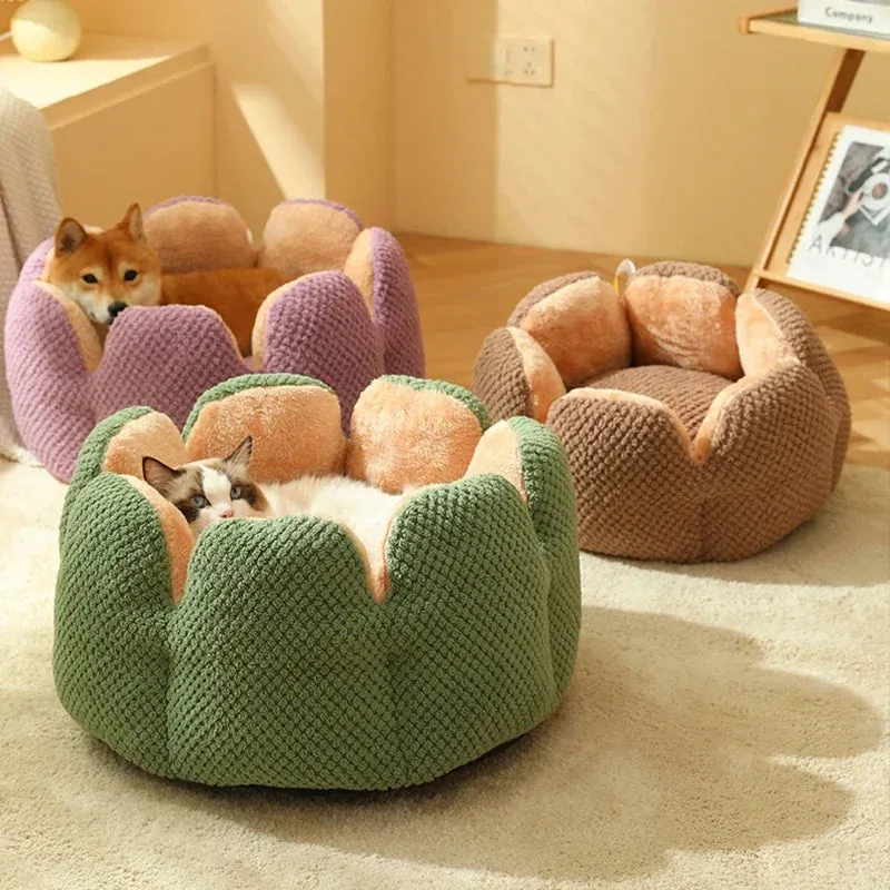 Cozy Cactus Petal-Shaped Pet Bed - Plush Cat and Dog Sleeping Cushion