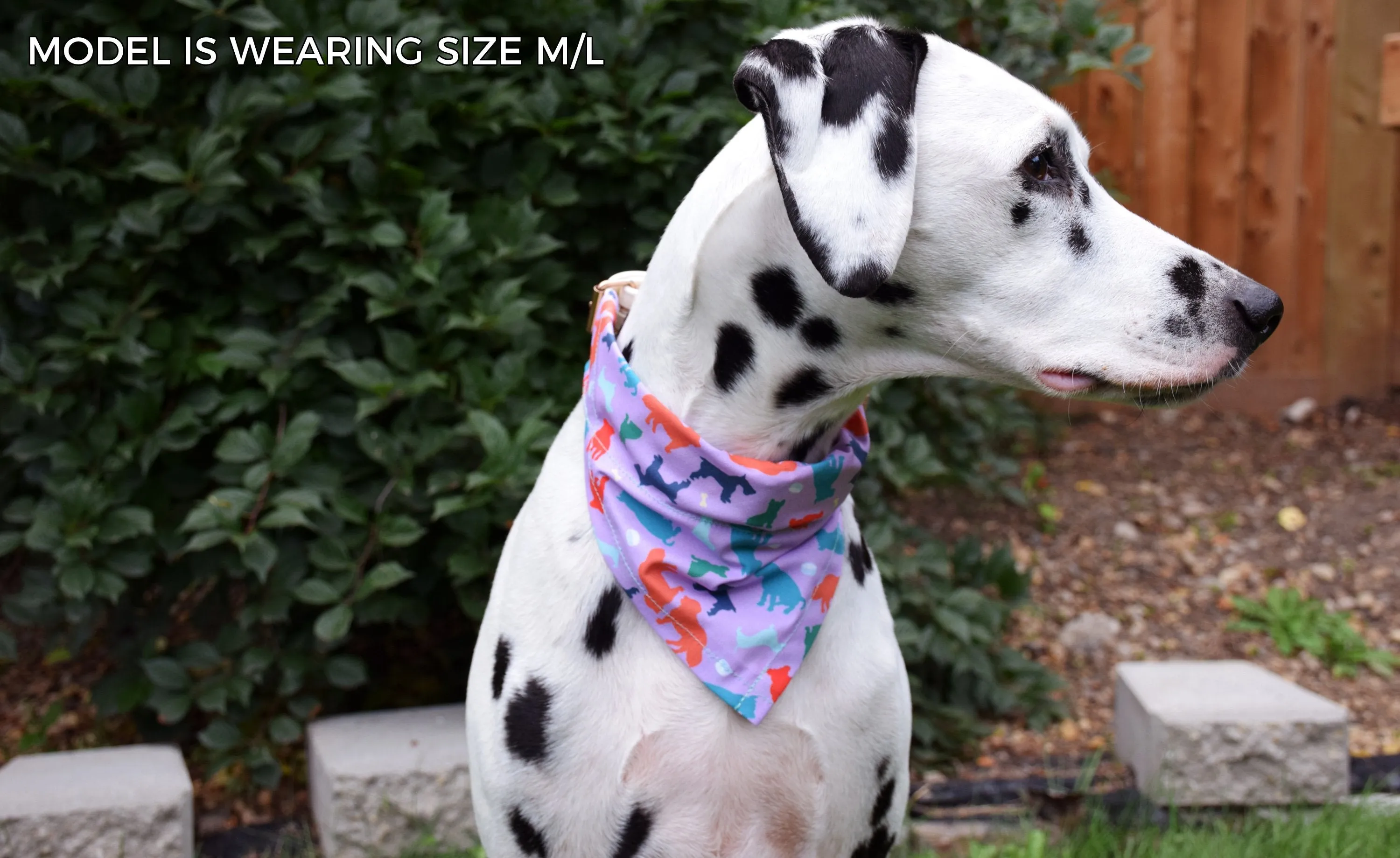 Dog Bandana - Under the Mistletoe Cotton Dog Scarf WINTER COLLECTION