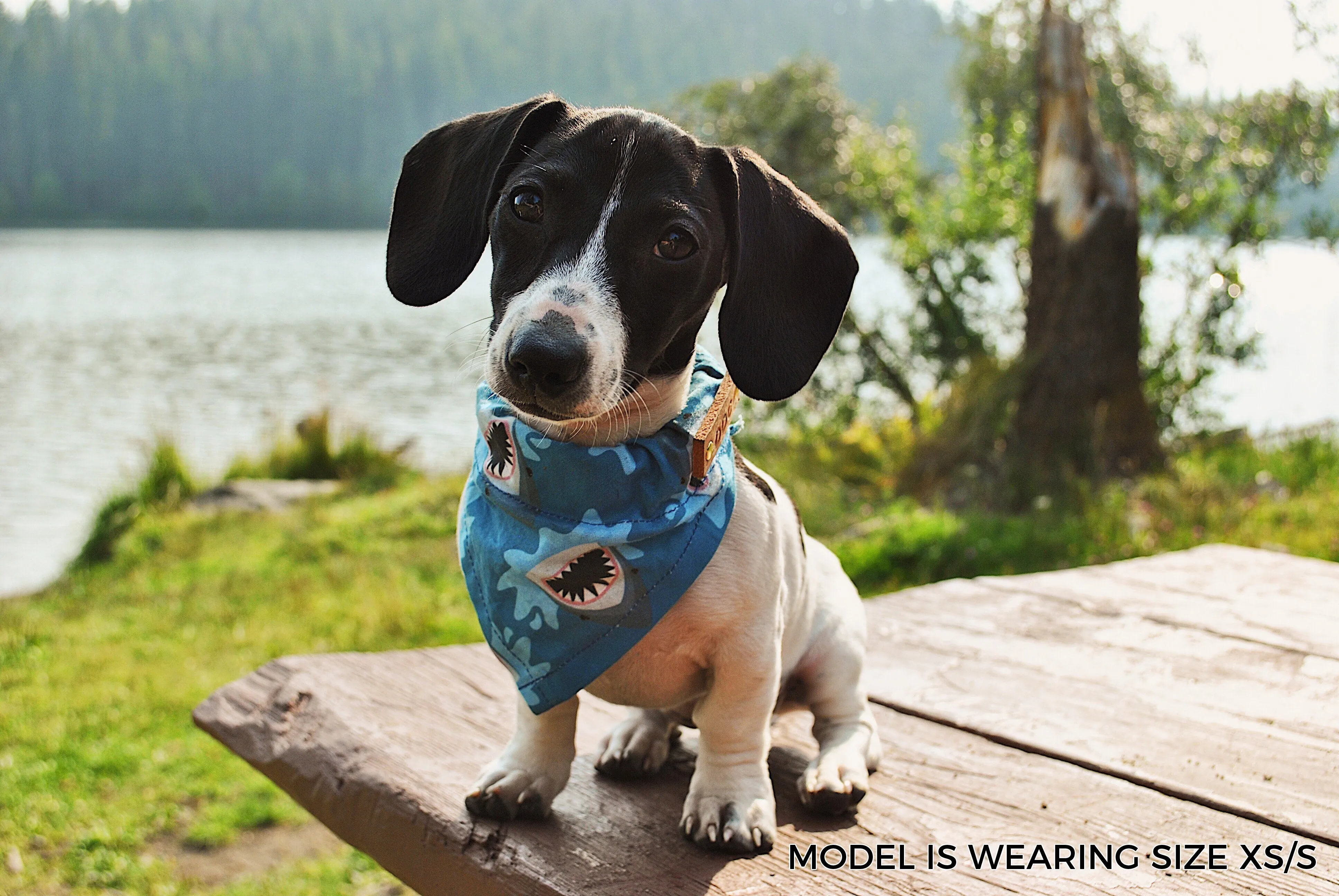 Dog Bandana - Under the Mistletoe Cotton Dog Scarf WINTER COLLECTION