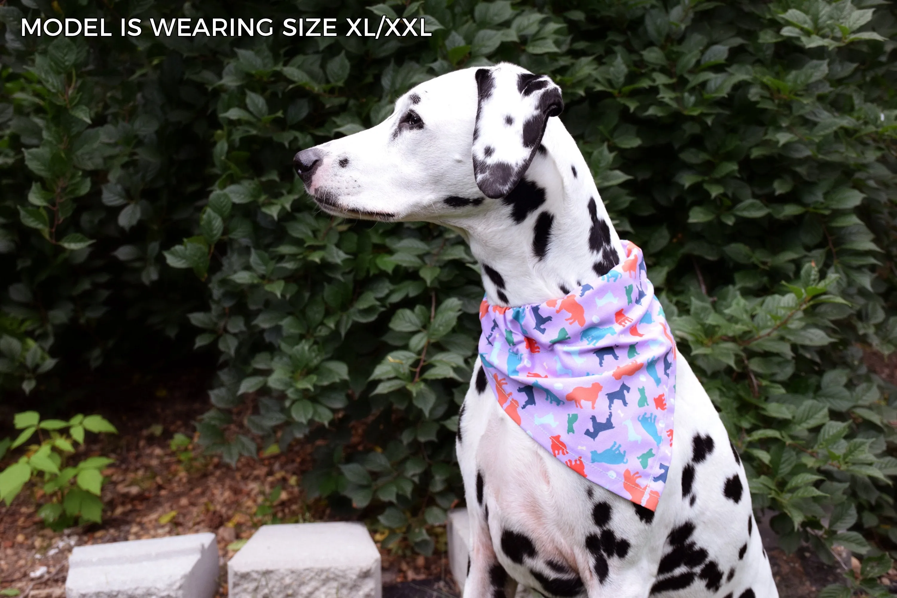 Dog Bandana - Under the Mistletoe Cotton Dog Scarf WINTER COLLECTION