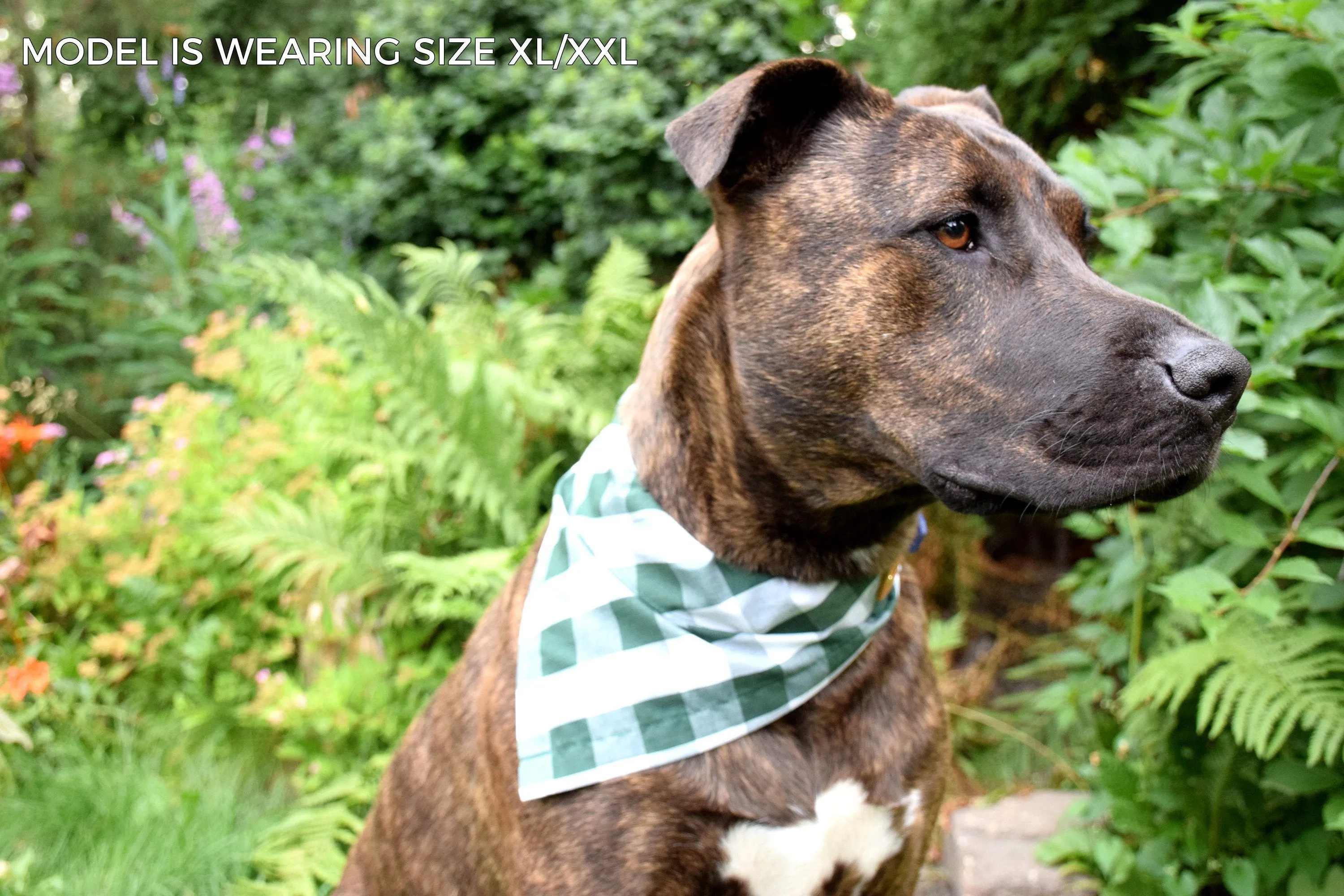 Dog Bandana - Under the Mistletoe Cotton Dog Scarf WINTER COLLECTION