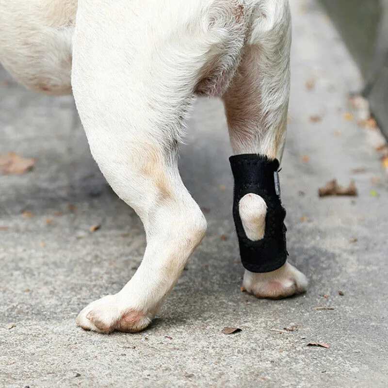Dog Leg Joint Support Brace Leg S-XL