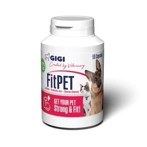 FitPet | Pet Supplement for Energy Boost
