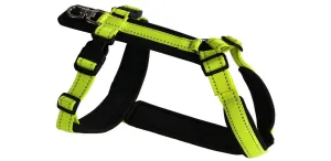 Fluorescent Yellow Tracker Harness