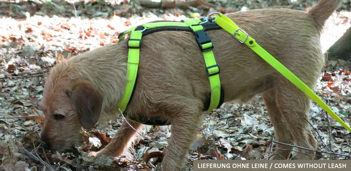 Fluorescent Yellow Tracker Harness