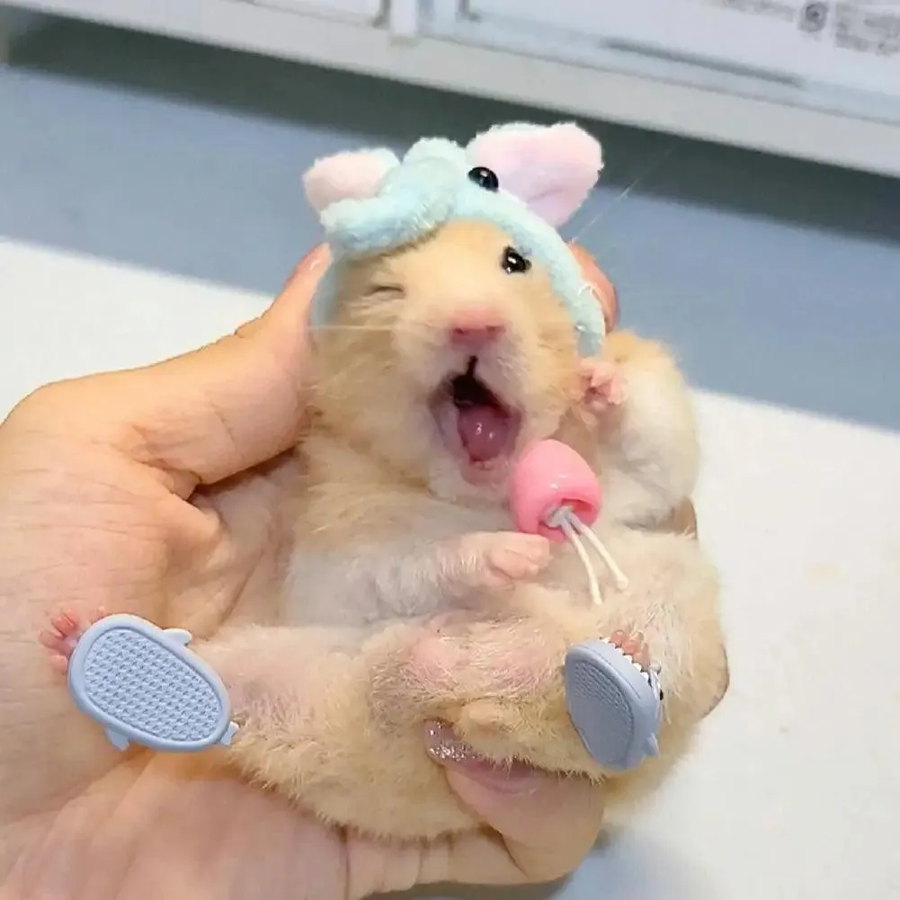 Hamster Costume Shoes Cute Shark Slippers Cosplay Suit Small Pet Fun Clothes Guinea Pigs Cosplay Assessories For Real Pets