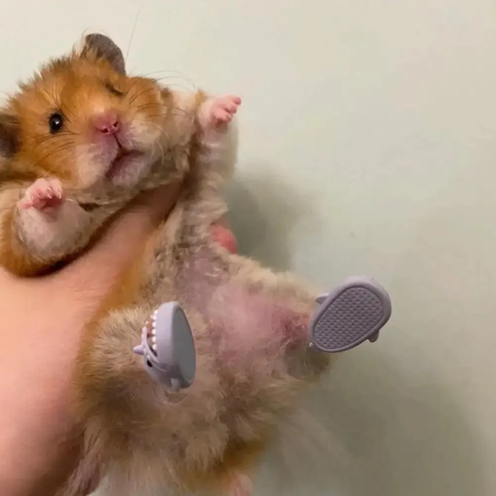 Hamster Costume Shoes Cute Shark Slippers Cosplay Suit Small Pet Fun Clothes Guinea Pigs Cosplay Assessories For Real Pets
