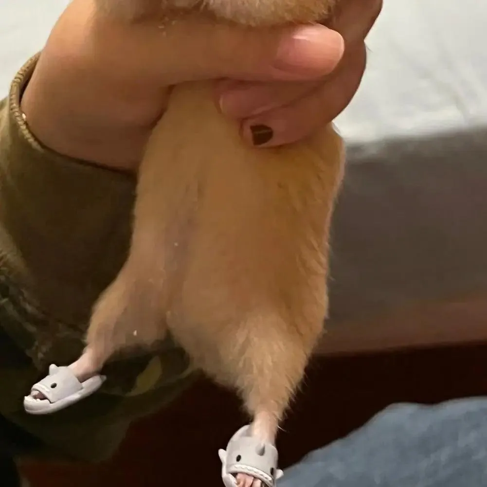 Hamster Costume Shoes Cute Shark Slippers Cosplay Suit Small Pet Fun Clothes Guinea Pigs Cosplay Assessories For Real Pets