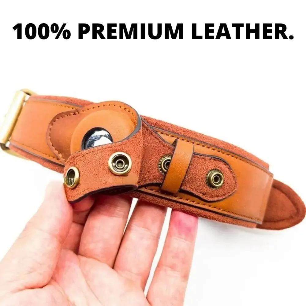 Heavy-Duty Leather Dog Collar with Airtag Holder™ – Ultimate Pet Safety
