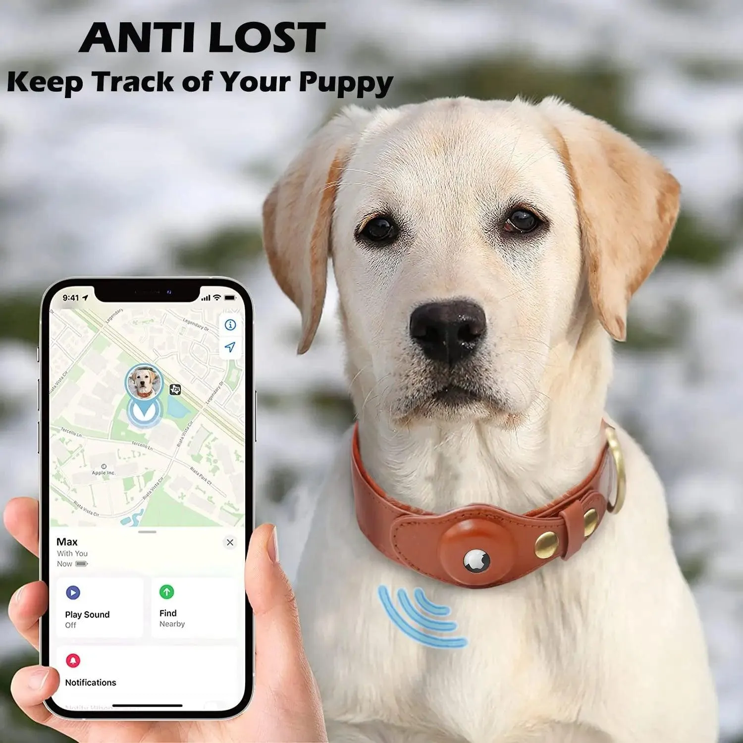 Heavy-Duty Leather Dog Collar with Airtag Holder™ – Ultimate Pet Safety