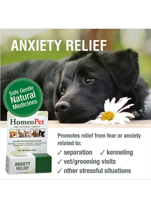 HomeoPet Anxiety Relief 15ml