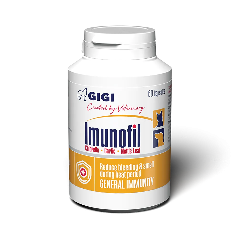 Imunofil | Strengthen Pets General Immunity
