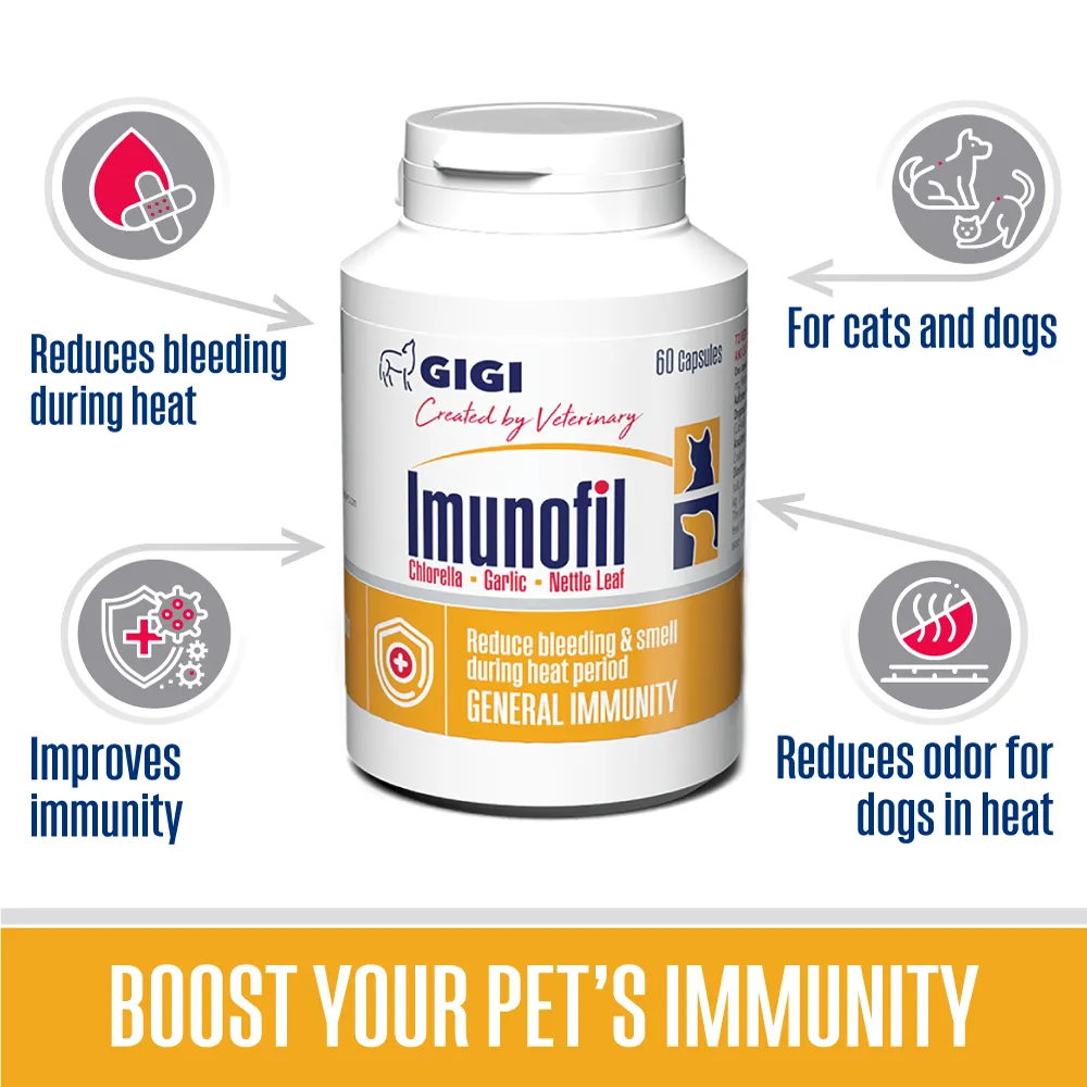 Imunofil | Strengthen Pets General Immunity