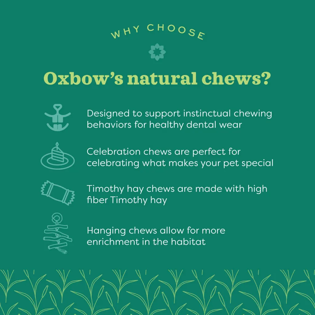 Oxbow Enriched Life Celebration Party Pack Small Animal Chews (5 pack)