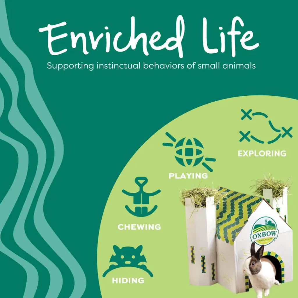 Oxbow Enriched Life Celebration Party Pack Small Animal Chews (5 pack)