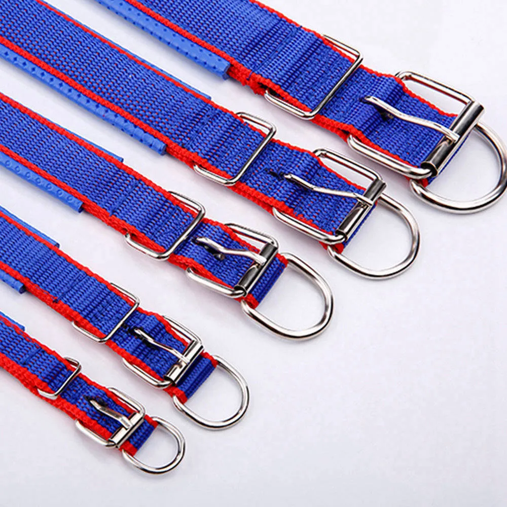 PAWS ASIA Manufacturers Wholesale Custom Adjustable Personalized Luxury Fashion Training Large Stripe Collar Dog