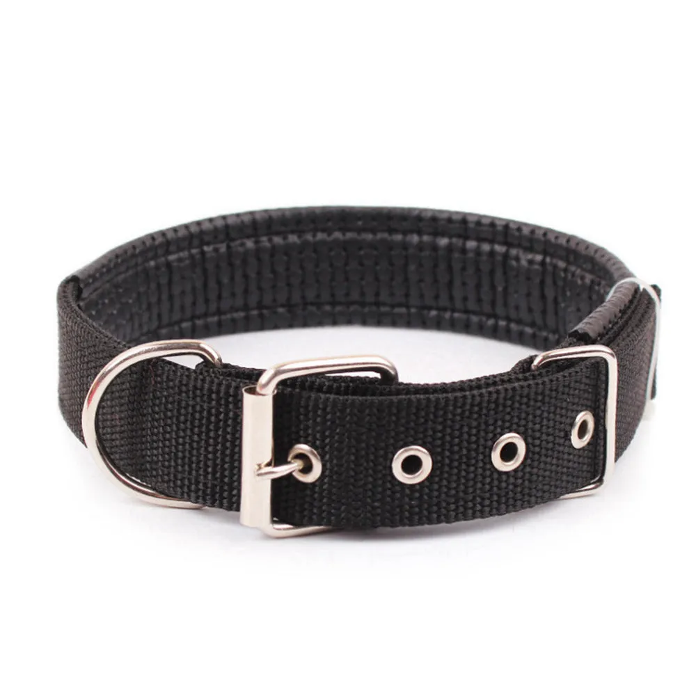 PAWS ASIA Manufacturers Wholesale Custom Adjustable Personalized Luxury Fashion Training Large Stripe Collar Dog