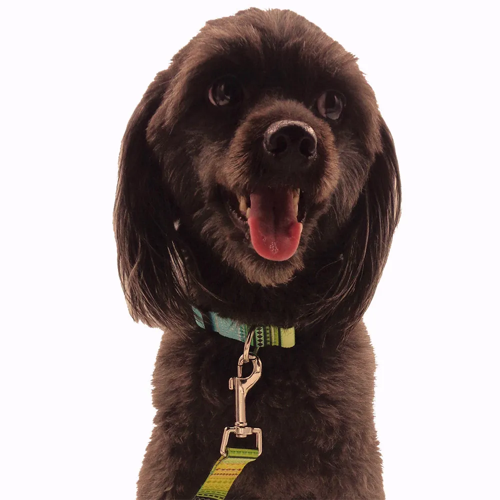PAWS ASIA Supplier High End Lightweight Personalized Pattern Boho Dog Collar