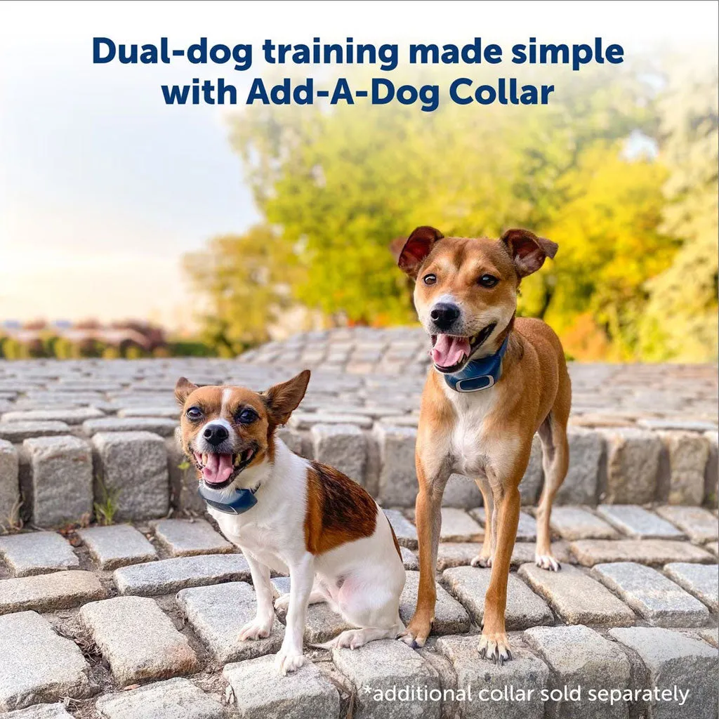 PetSafe Remote Trainer Dog Collar