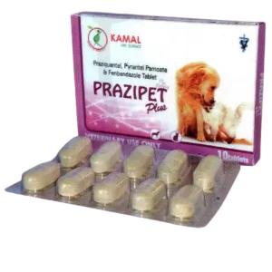 Prazipet Plus Worm Tablet (One Tablet)